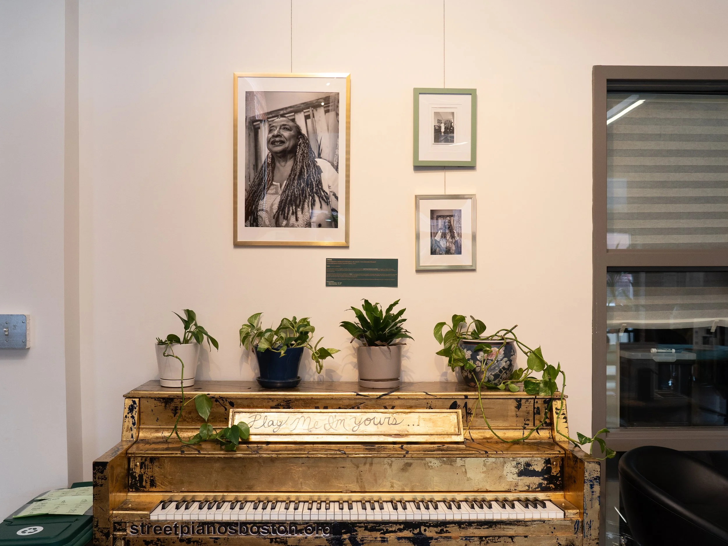 Portraits by Steffie Belnavis are displayed above the piano at the CEI, framed by lush, green plants