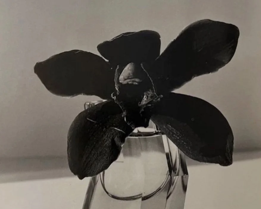 How to Decorate With Flowers