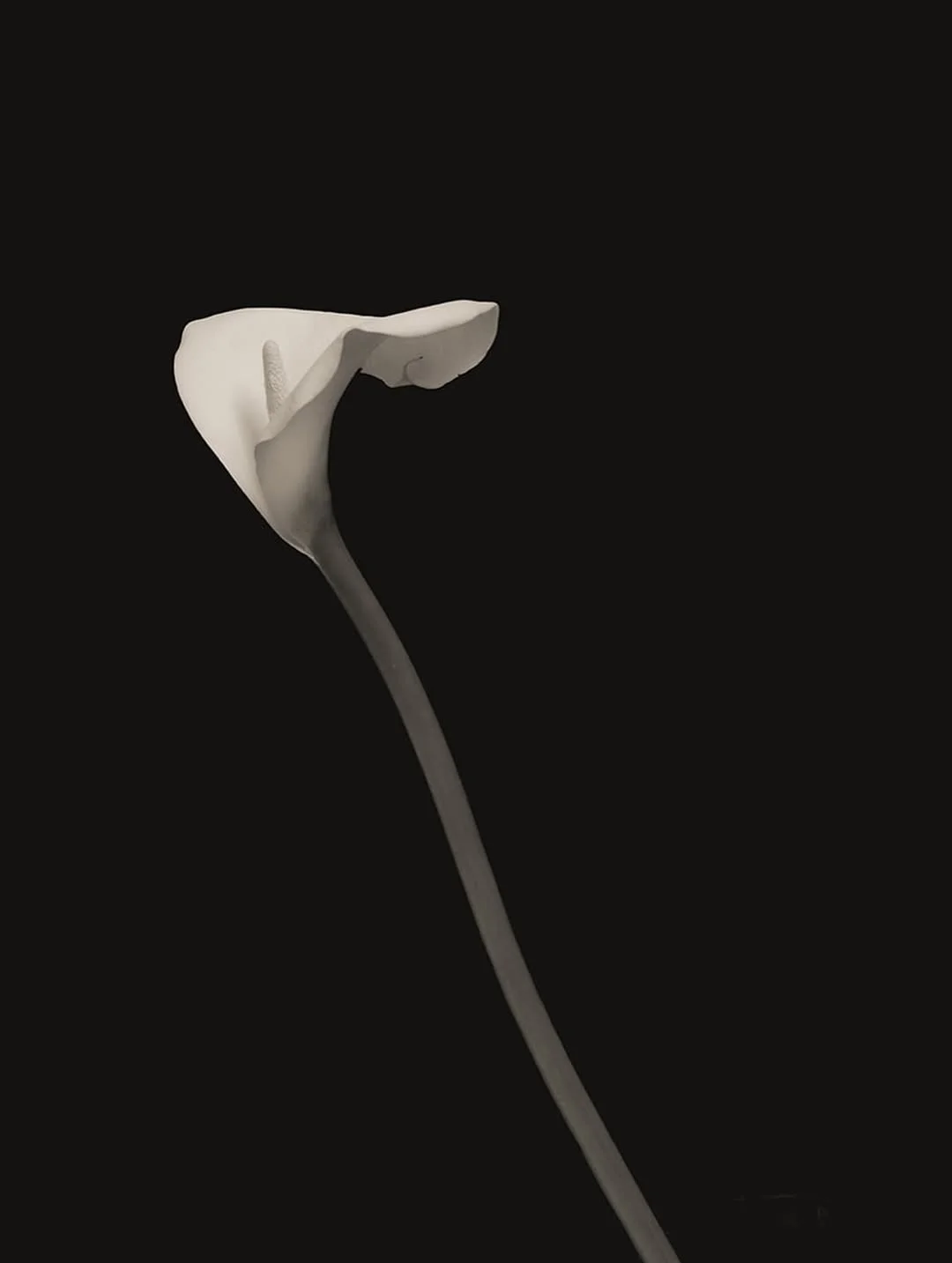 3 Things Everyone Wants 4.jpg