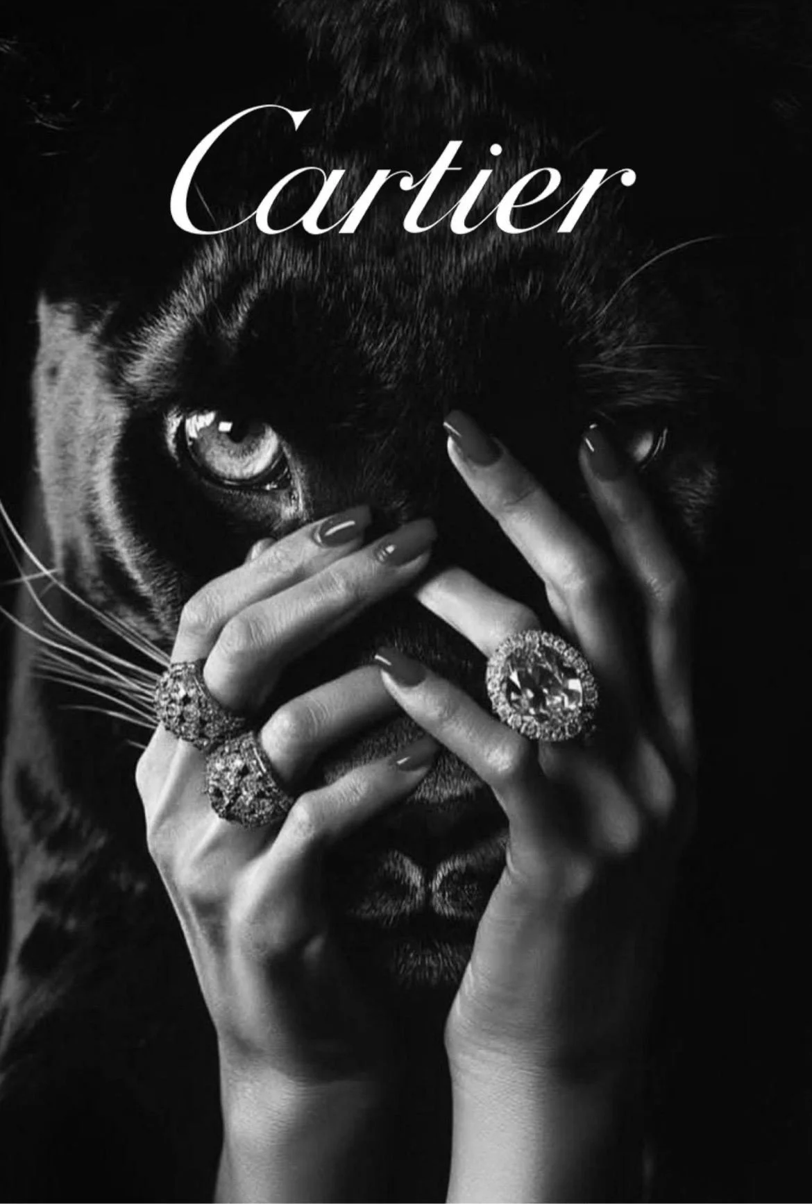 The Essence of Luxury Brands 3.jpg