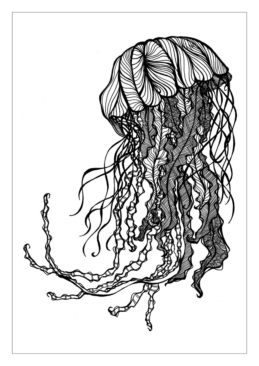 B Octopus (1).jpeg