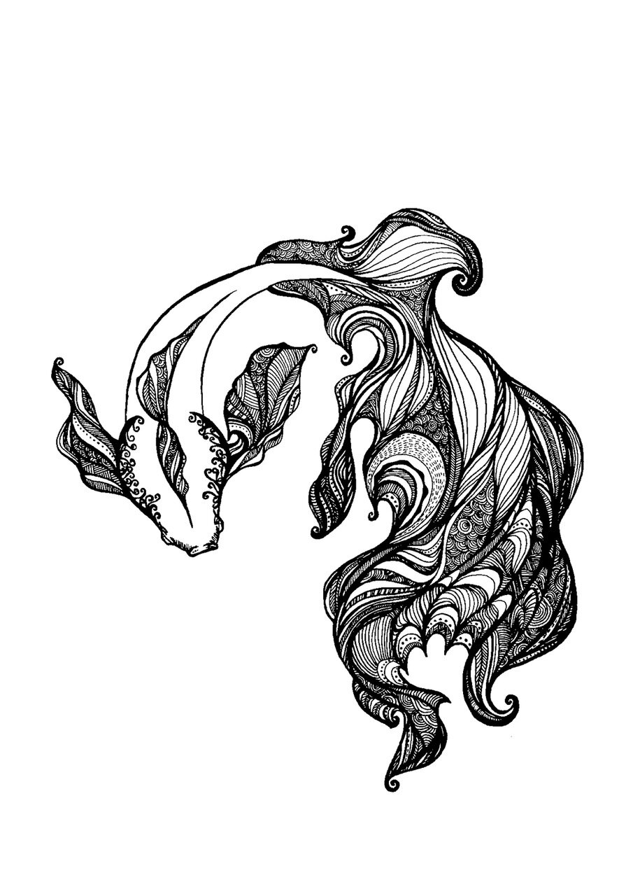 A Fish.jpeg
