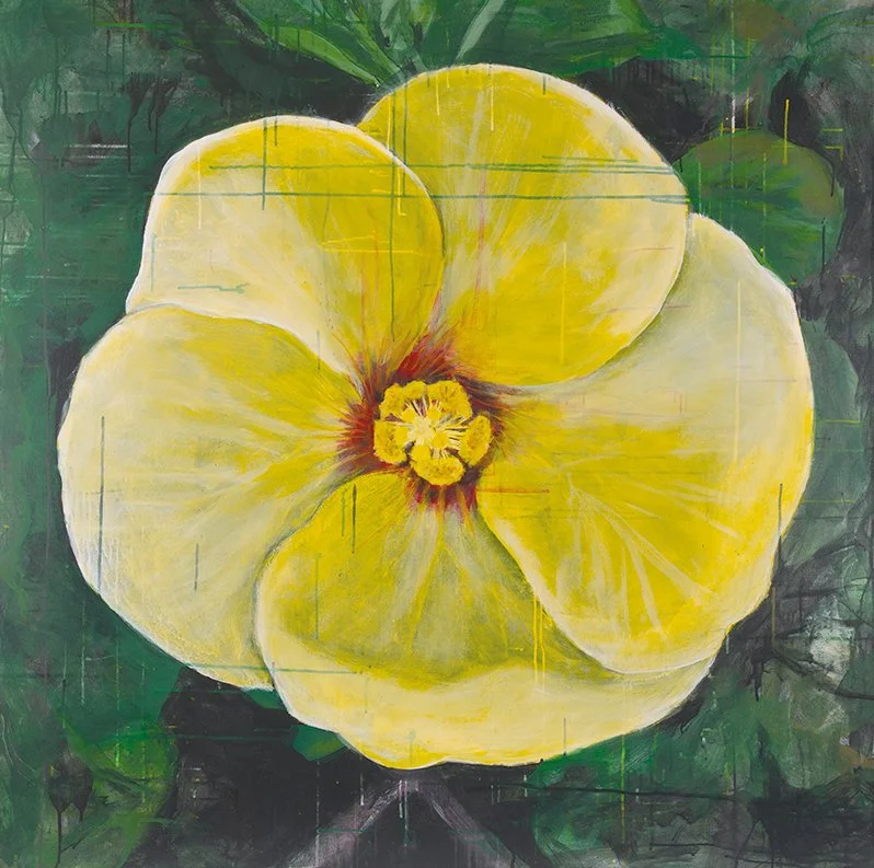 Yellow Hibiscus