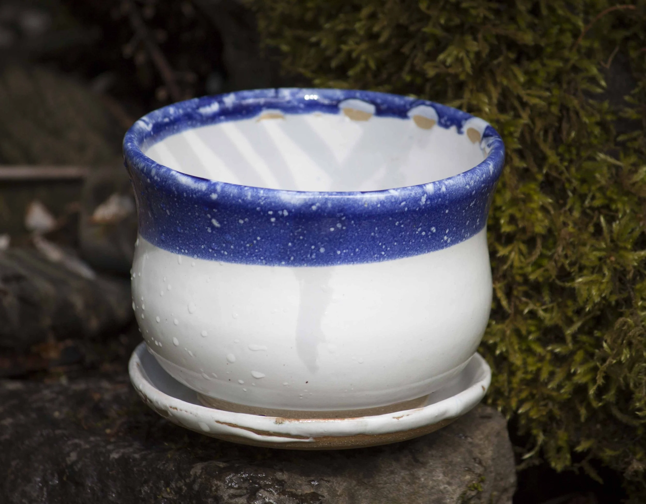 Canvas Constellation