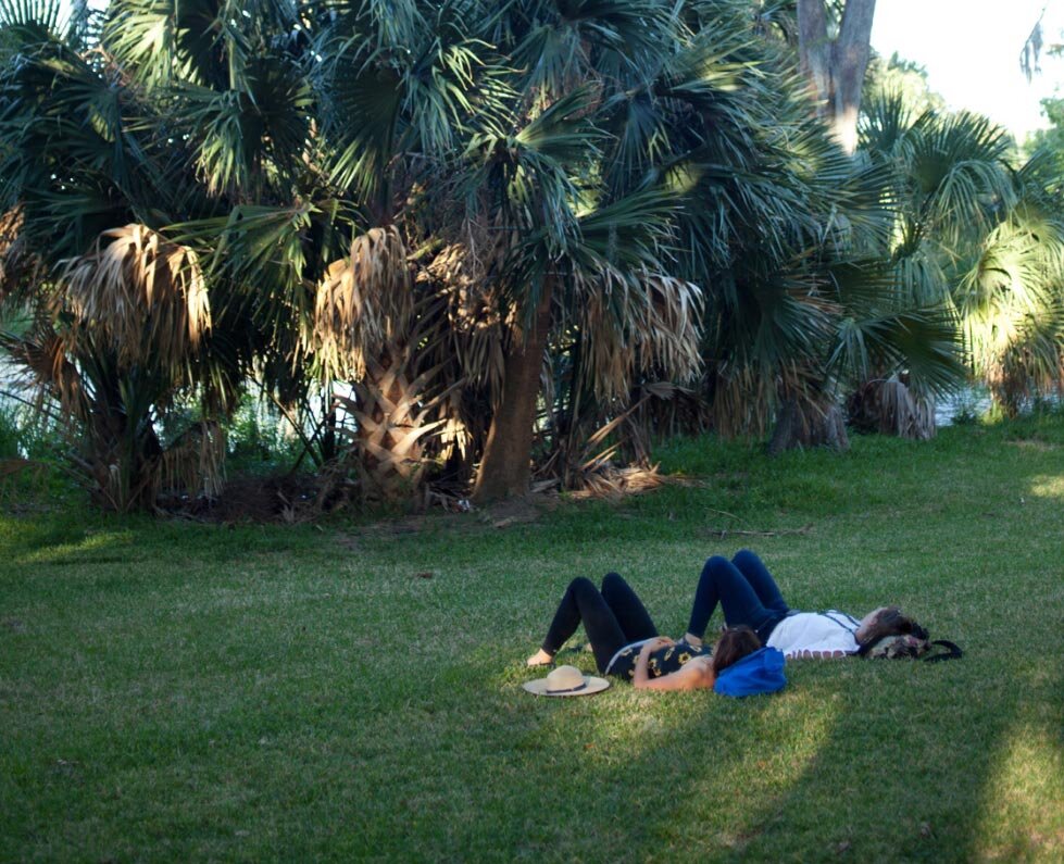 Transplanted: The Benefits of Being Seen & Not Heard