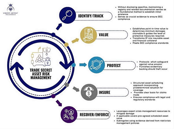 Trade Secret Asset Risk Management