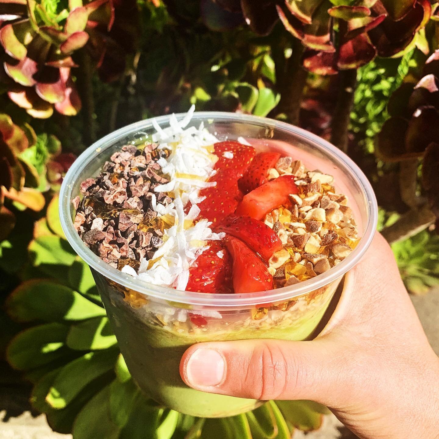 Have you tried our NEW matcha bowl?! It&rsquo;s perfect for Spring and St. Paddy&rsquo;s Day! See you soon! ☘️
.
.
.
#morrorock #morrobay #matcha #superfoods #beach #spring #stpatricksday #california #acaibowl #kravabowl #surf #surfer #surfing #longb