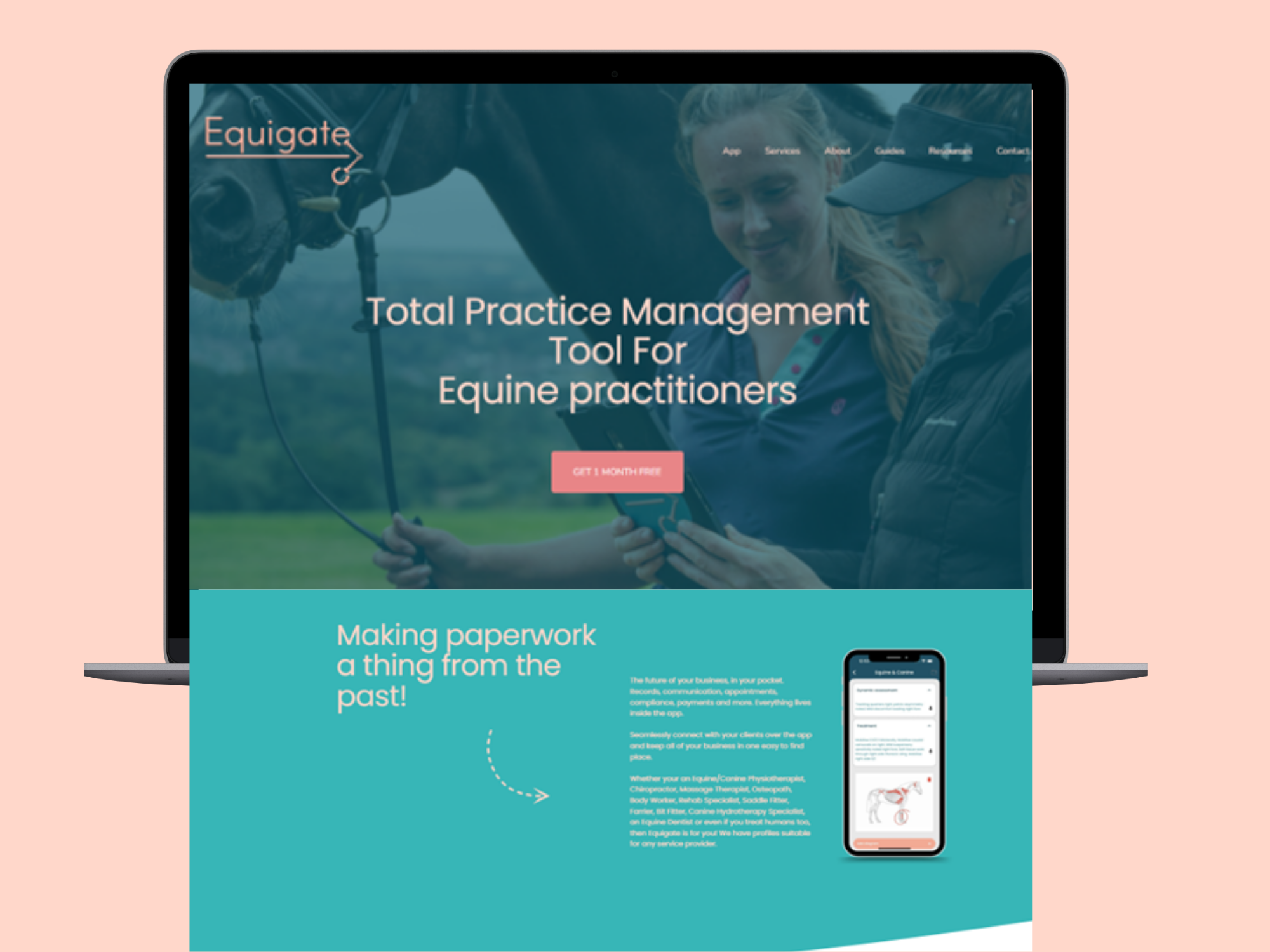 equine marketing webdesign.png