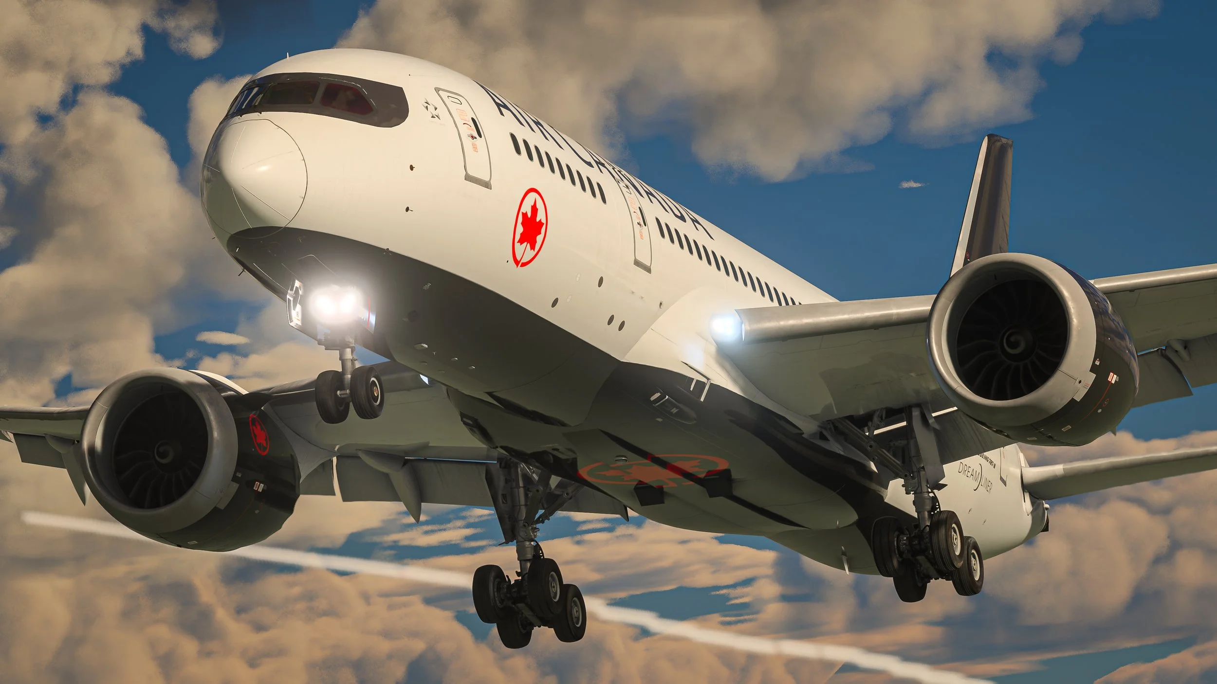 Microsoft Flight Simulator-2024_10_24-16-20-40.jpg