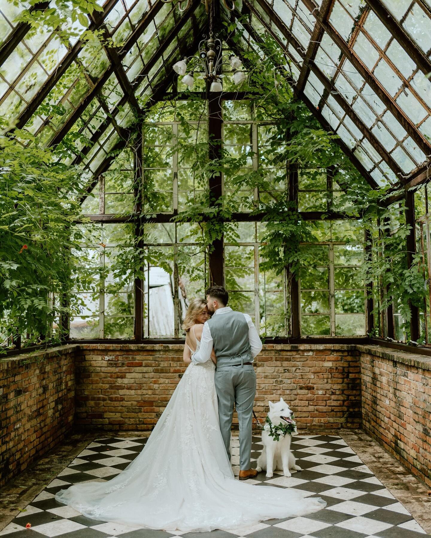 While not every paw can walk down the aisle, every wag of the tail adds to the joy 🐾 Today, we&rsquo;re throwing it back to the sweetest month-after session with Bella, the adorable fur baby of one of my cherished couples! 

At this point y&rsquo;al