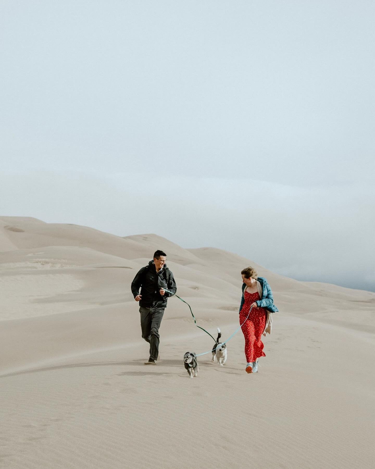 &ldquo;Let&rsquo;s go on an adventure together!&rdquo; It&rsquo;s what I told Steph when we were talking about what their engagement session would look like and she told me her and Brendan have a tradition to go to the Sand Dunes every year. So that&