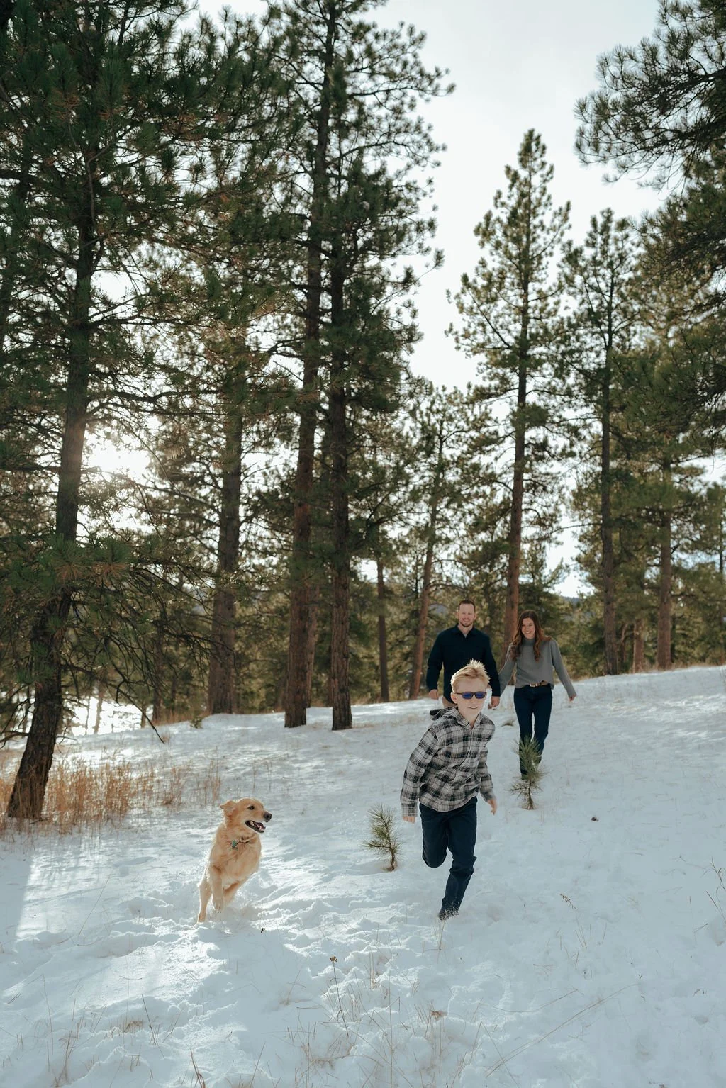 A man, woman, child, and a golden retriever stand together in a snowy forest with pine trees in the background for a documentary family photography session