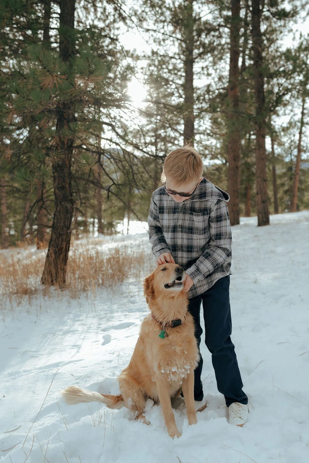 A young boy in a plaid shirt pets a golden retriever lying on its back in the snow in a wooded area.
