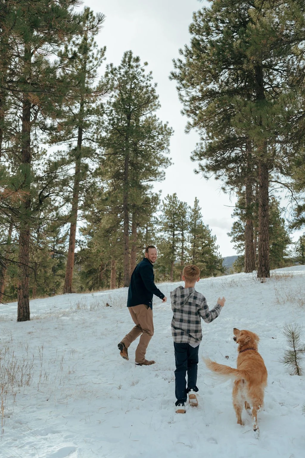 A man, a child, and a golden retriever walk uphill through a snowy forest surrounded by tall pine trees.