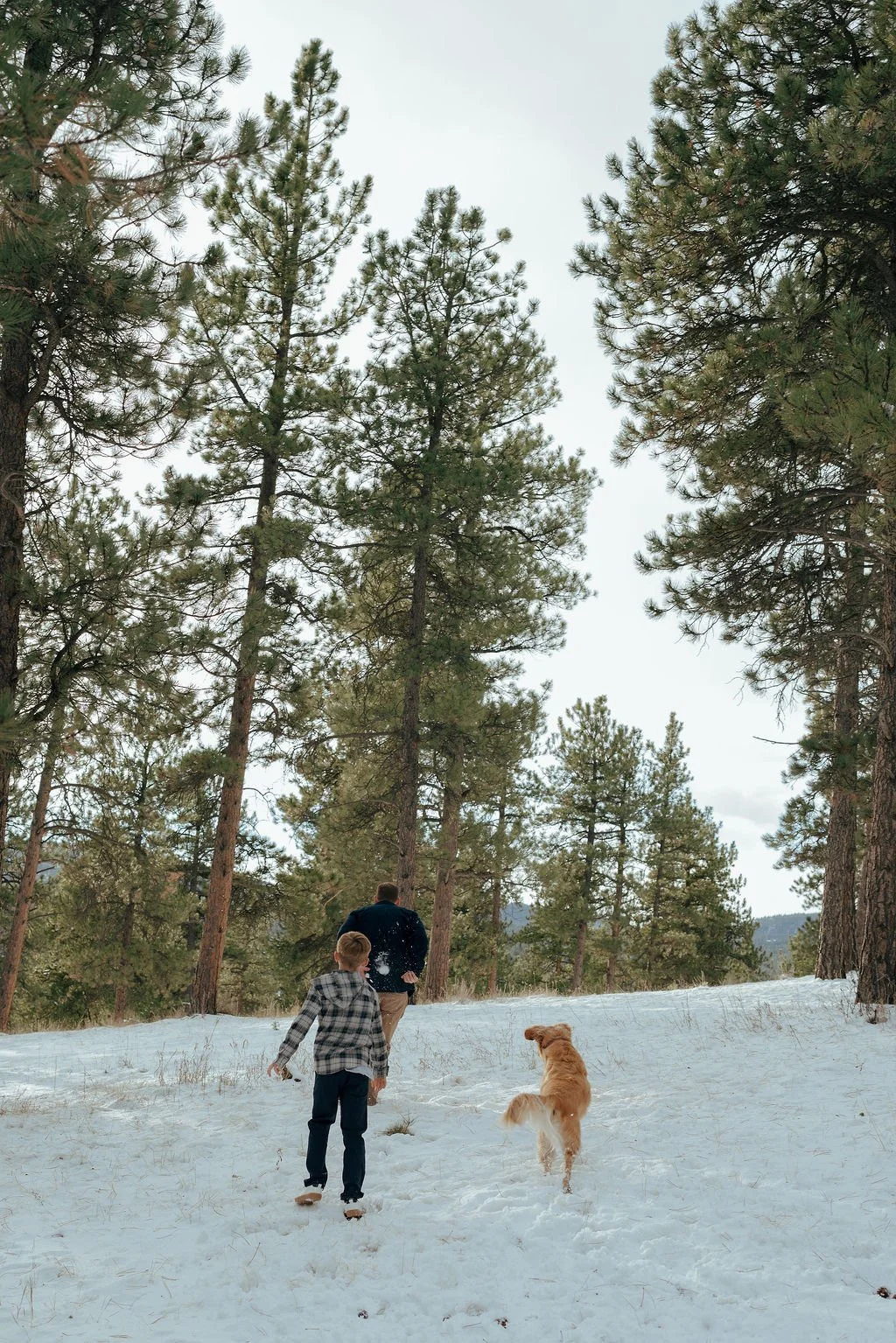 A man, a child, and a golden retriever walk uphill through a snowy forest surrounded by tall pine trees.