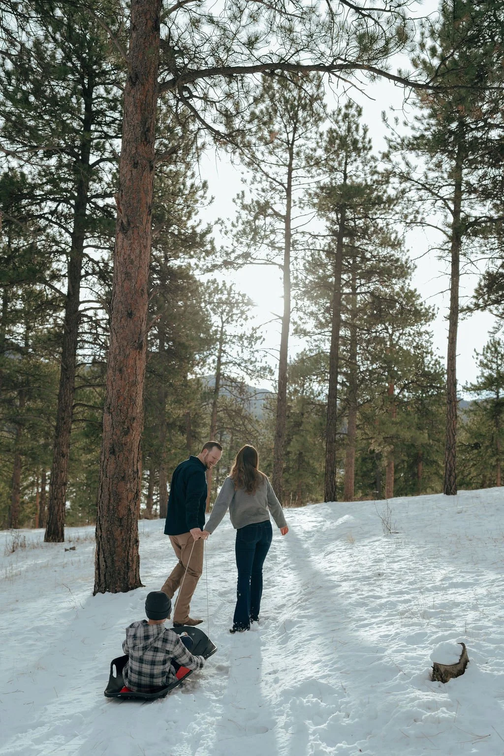 Two adults pull a child in a sled through a snowy forest with tall pine trees, sunlight shining through the branches.