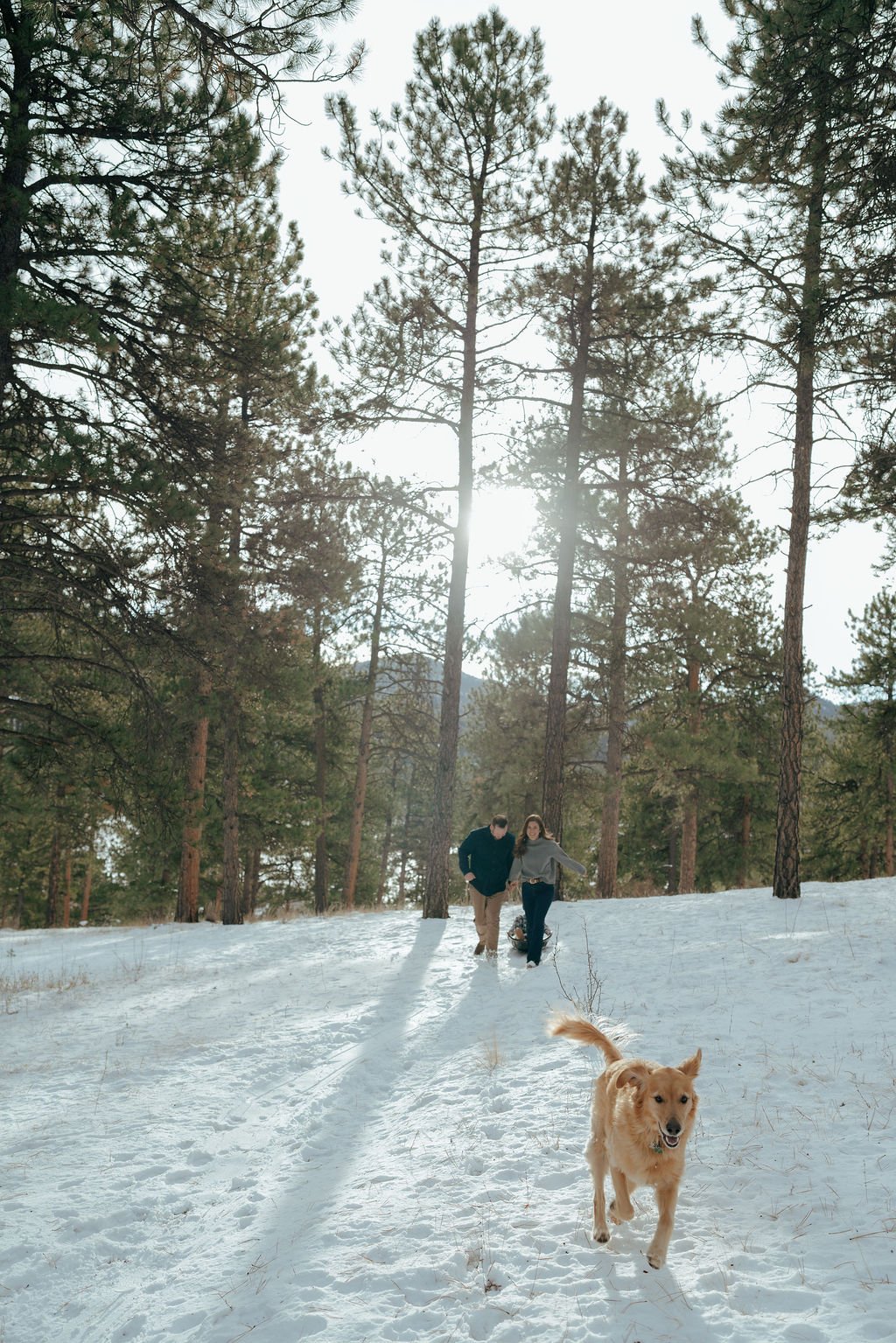 A man and woman walk on a snowy path in a forest while a child rides a sled behind them.