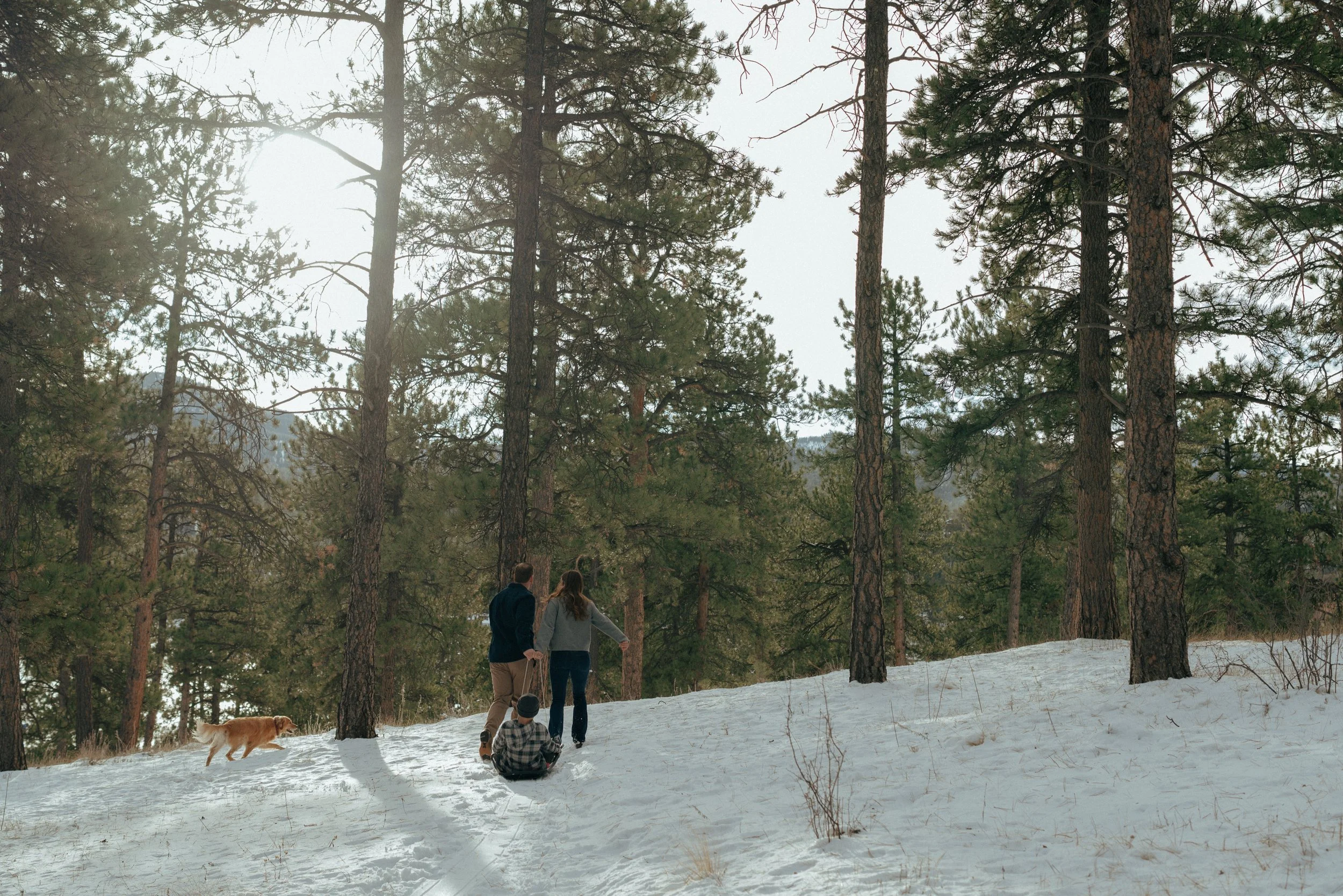 Documentary style family photograph of a couple with a dog pulling a kid in a sled uphill in the snow surrounded by tall pines