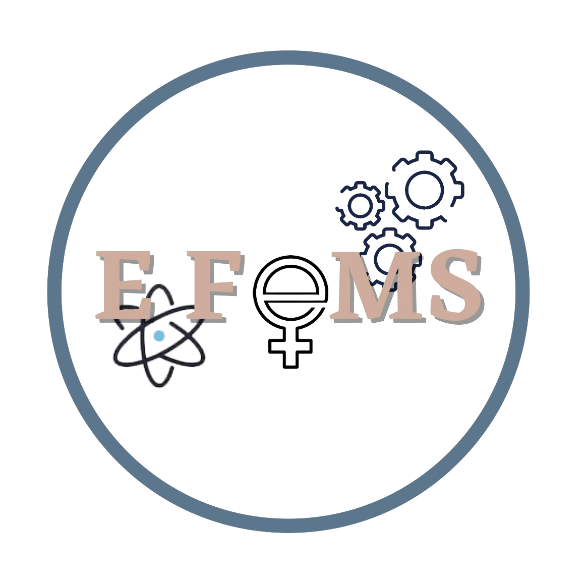 EFeMS