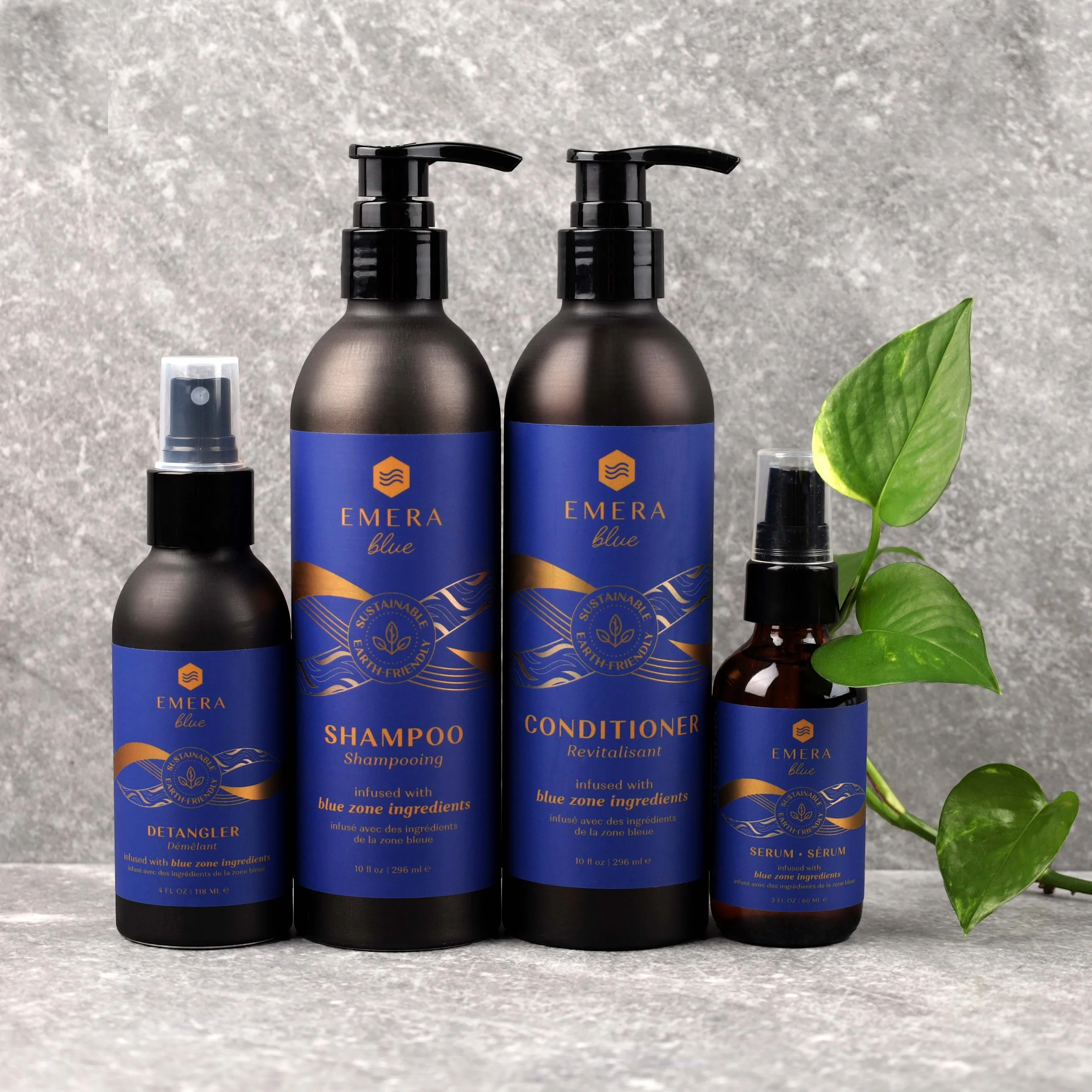 Emera blue group photo .jpg