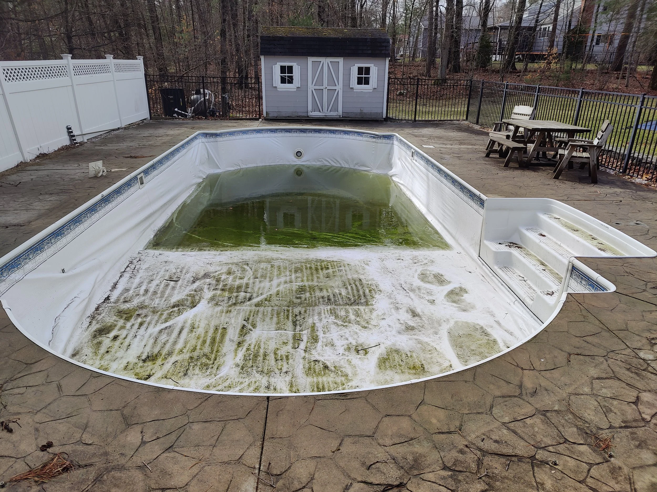 IMG20250321105437 (1).jpg