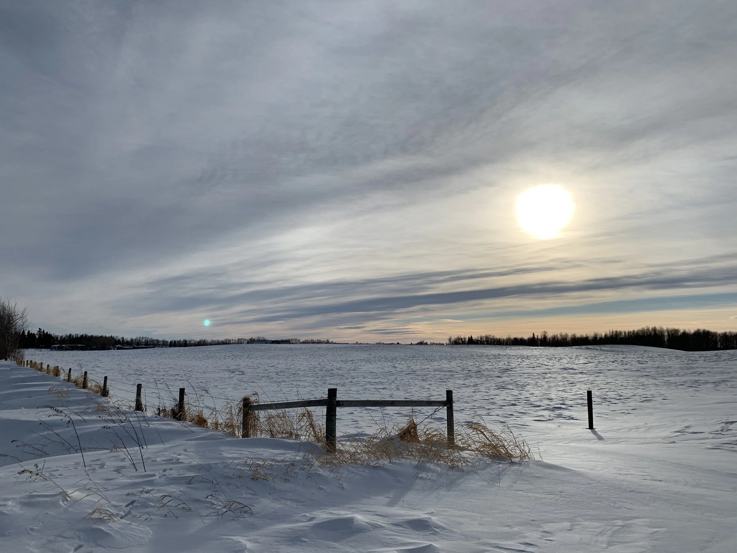 The Quiet Weight of Christmas - and the Light We Find in One Another