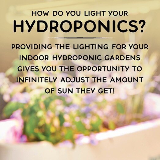 Hydroponics vs. Traditional Gardening #2: Light⁠⁠
&mdash;&mdash;&mdash;&mdash;&mdash;&mdash;&mdash;&mdash;&mdash;&mdash;&mdash;&mdash;&mdash;&mdash;&mdash;&mdash;&mdash;&mdash;&mdash;&mdash;&mdash;&mdash;&mdash;&mdash;&mdash;&mdash;⁠⁠
Brand new to ga