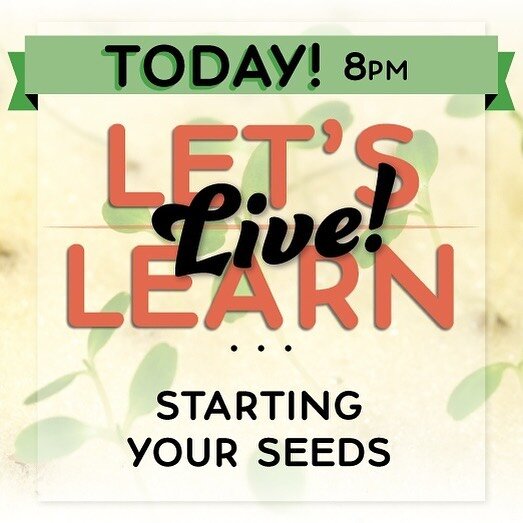 It's that day again! Time for Let's Learn LIVE!⁠⁠
⁠⁠
Today we are going to review how to germinate your seeds for hydroponics, our favorite mediums for starting in, when to transfer them to a system and more!⁠⁠
⁠⁠
See you at 8pm!
#seedstarting #seedc