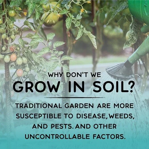 Grow Thyme Hydroponics & Supply