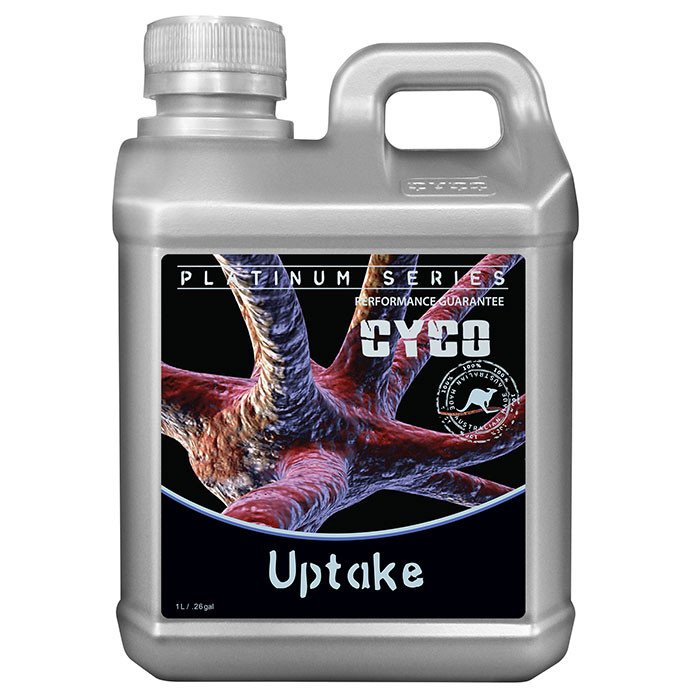 cyco-uptake-1.jpeg