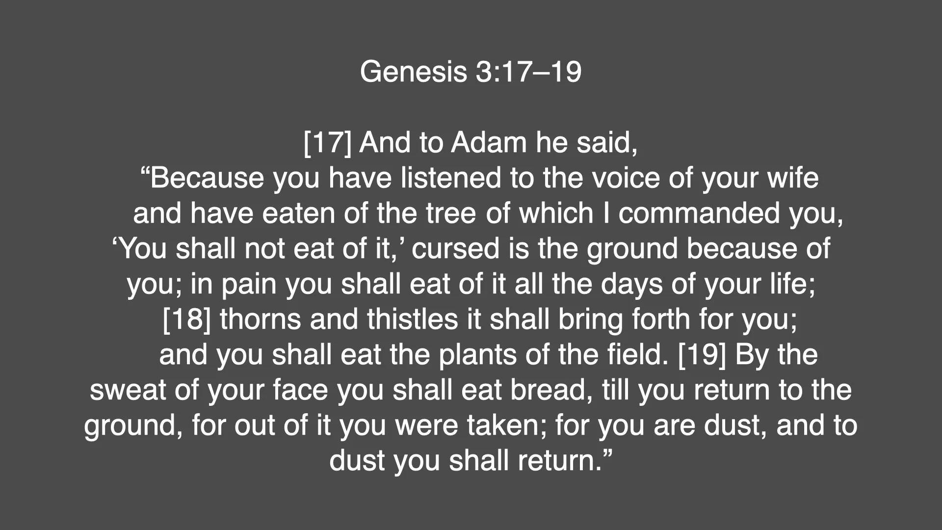 Theology of work.006.jpeg