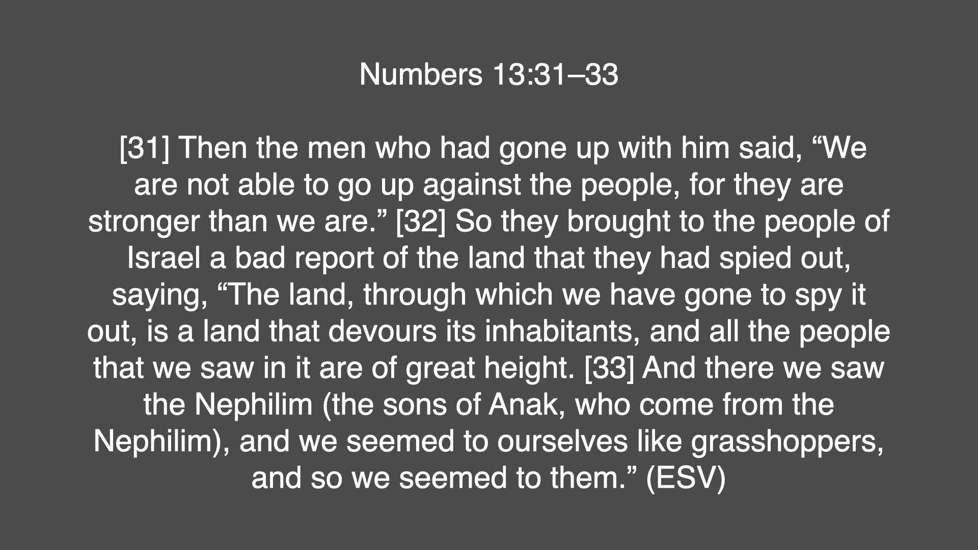 Genesis 6-1-8.006.jpeg