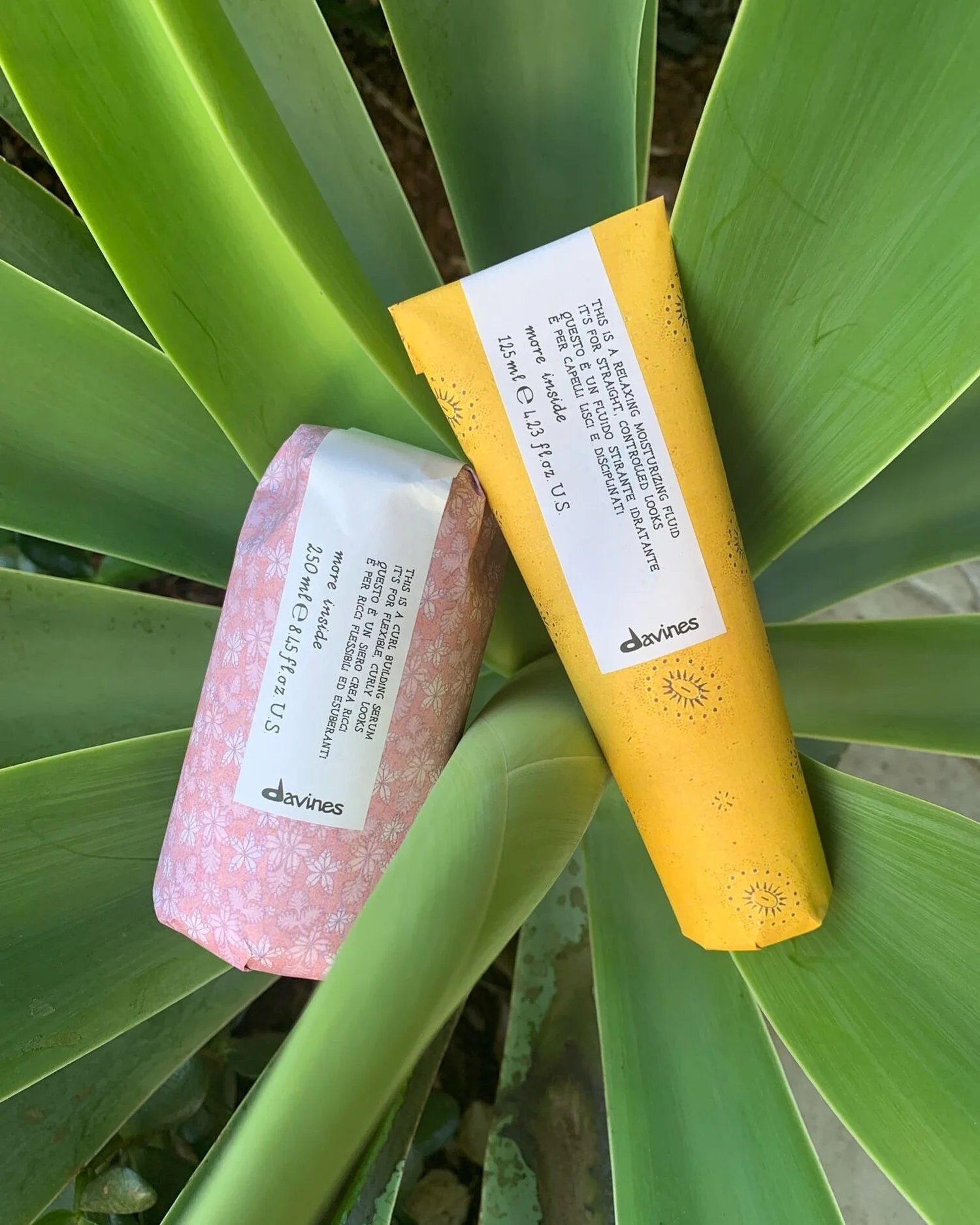 Hair products on a plant | Featured image for the Hairdresser East Brisbane Marigold Bulimba.