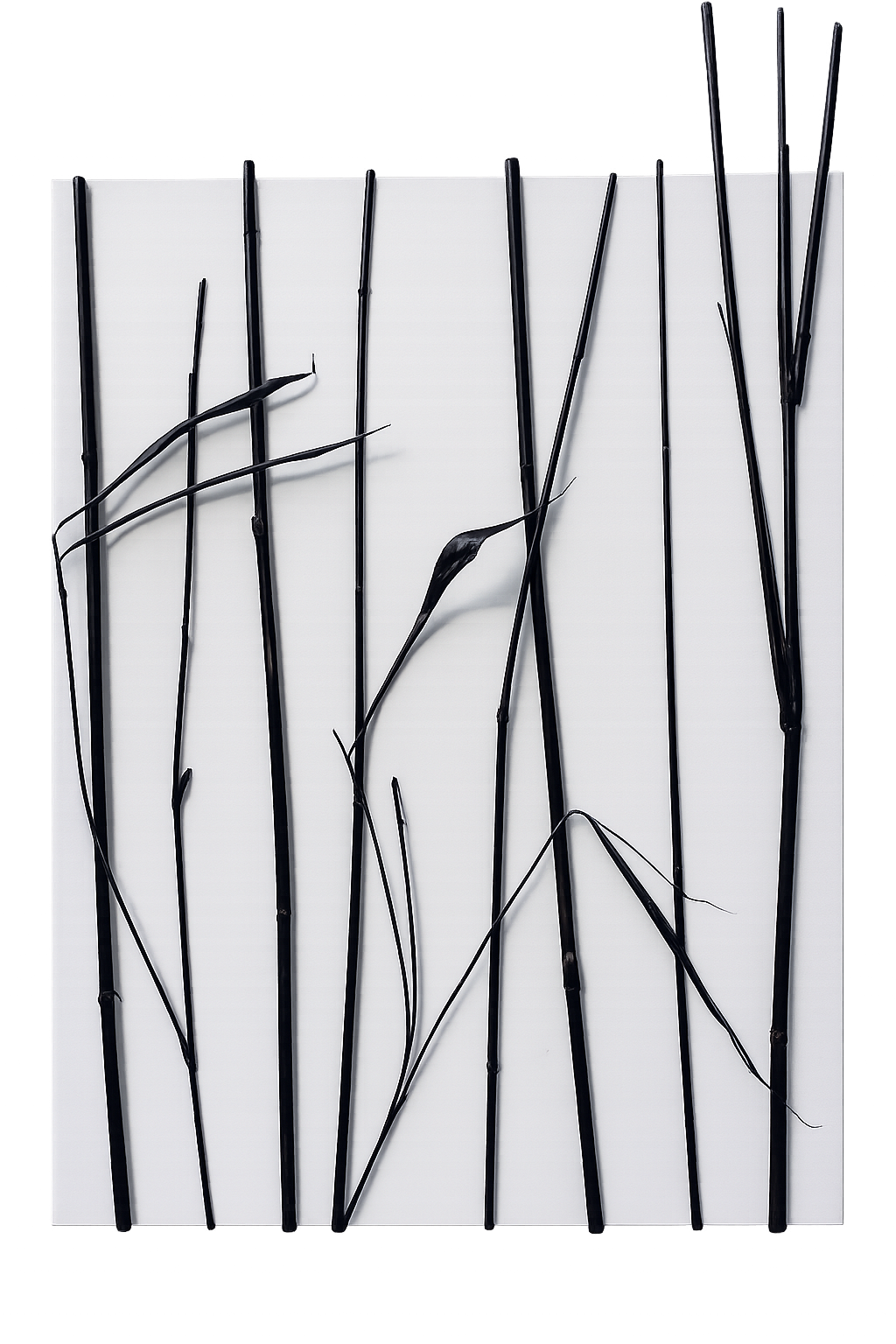 switch-24x30.png