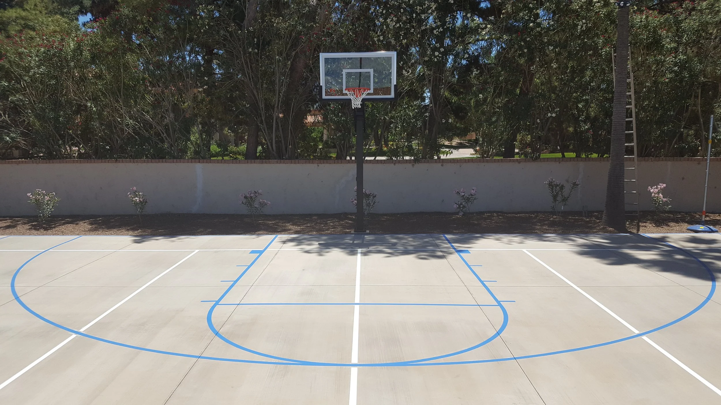 Basketball Gridley After 1.jpg