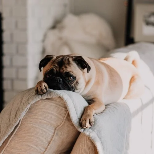 Susceptible to Burnout? You Might Need a Morning Routine.