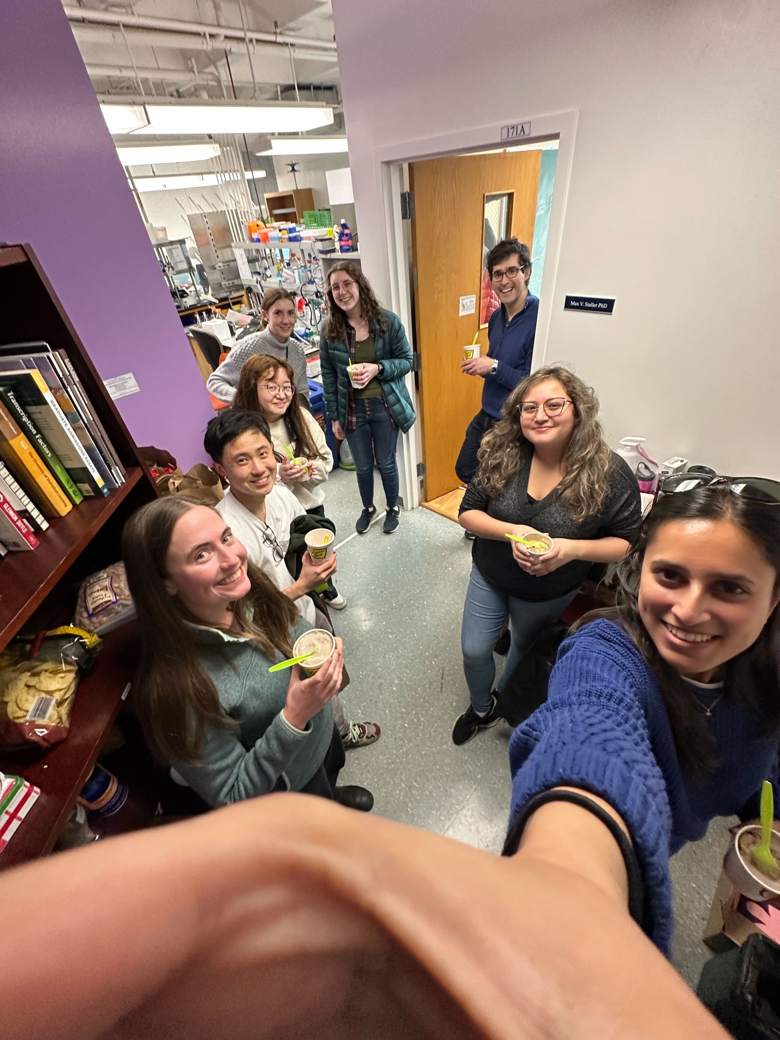 What happens when savio is down...