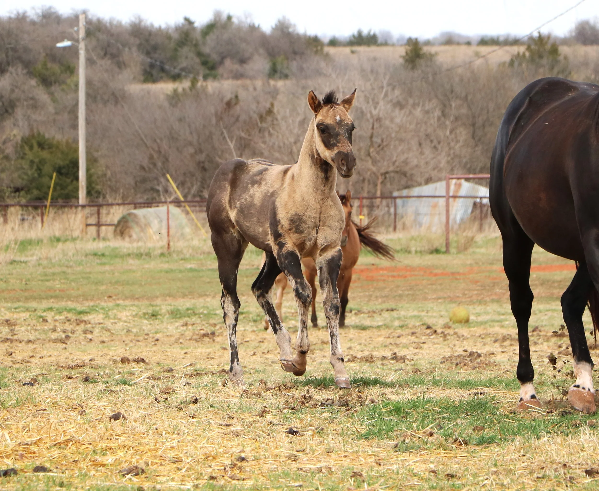 IMG_9316.JPG