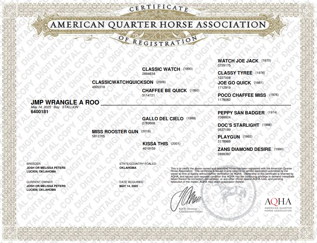 Wrangler papers.png