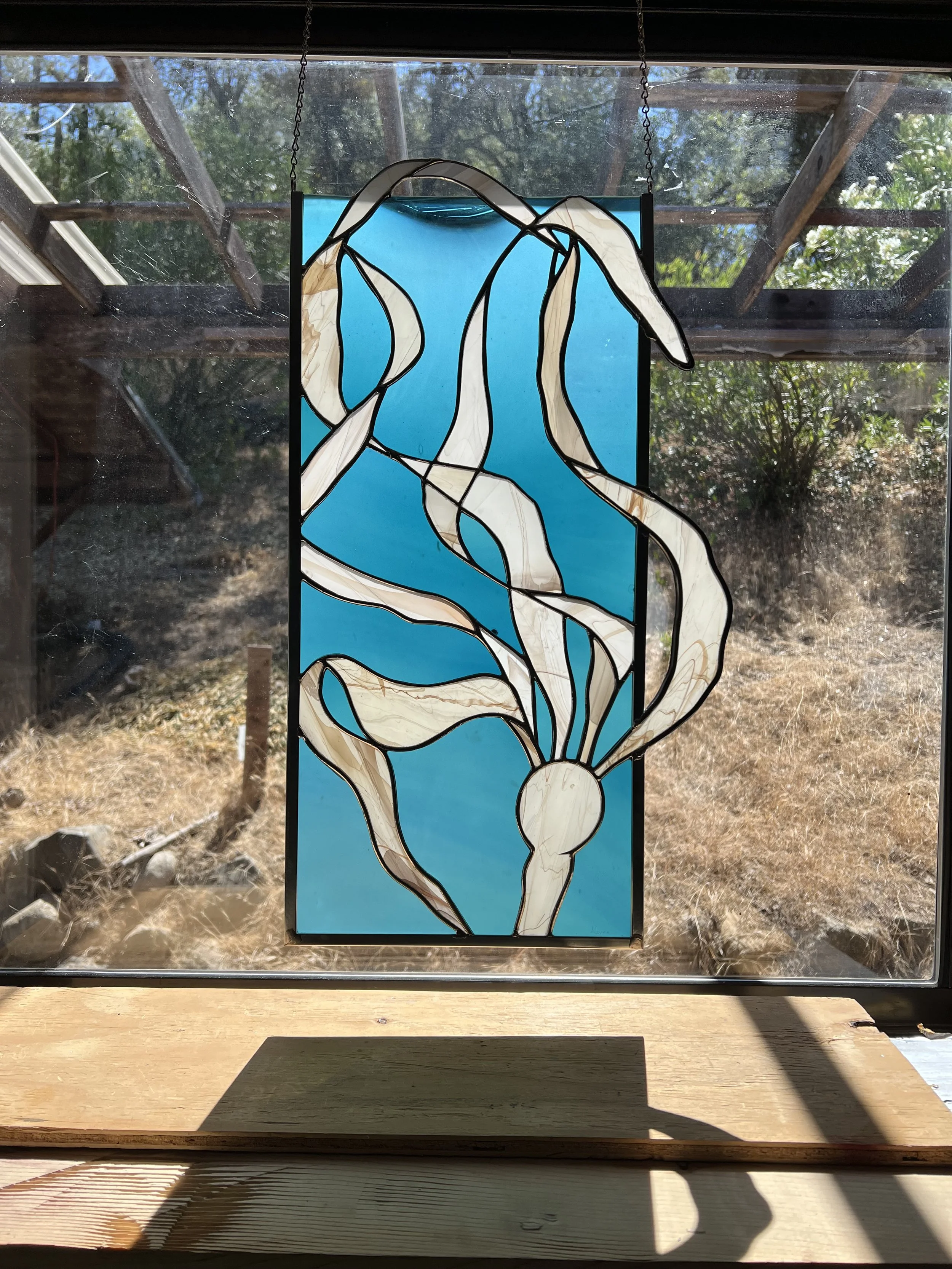 Ghost Kelp