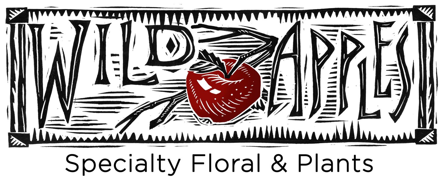 Wild Apples Floral