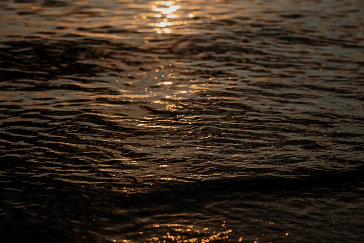 Maegan-Brown-Photography_20250414-16_Earl-St_Lifestyle_Adelaide_Seacliff_Beach_198.jpg