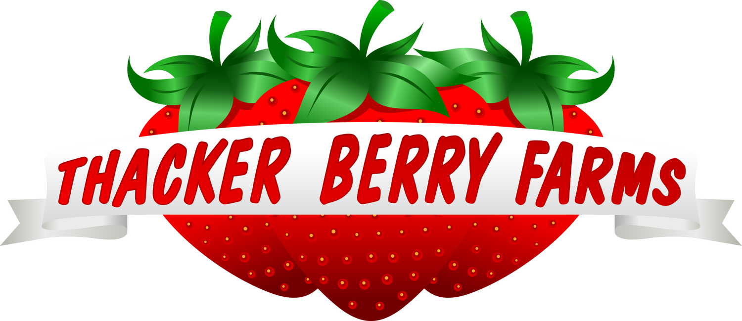 Thacker Berry Farms