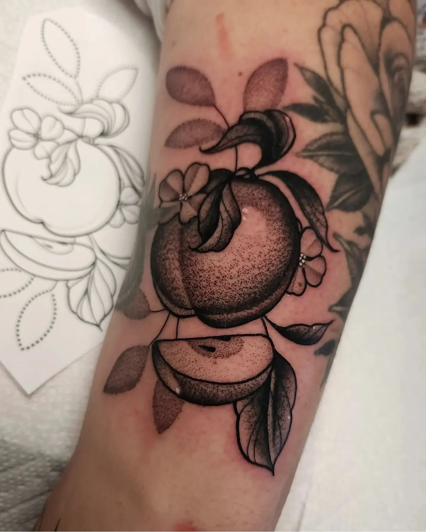 Fun apple gap giller for Amanda!🍎❤️ Absolutely love tattooing fruit, please give me all your fruit ideas :) thanks for looking!
.
.
.
Book @ ilenagonzaleztattoo.com
.
.
.
#empireinks#musotoku#fkirons #creamtattoosupply #creamneedles #ohiotattooers#f