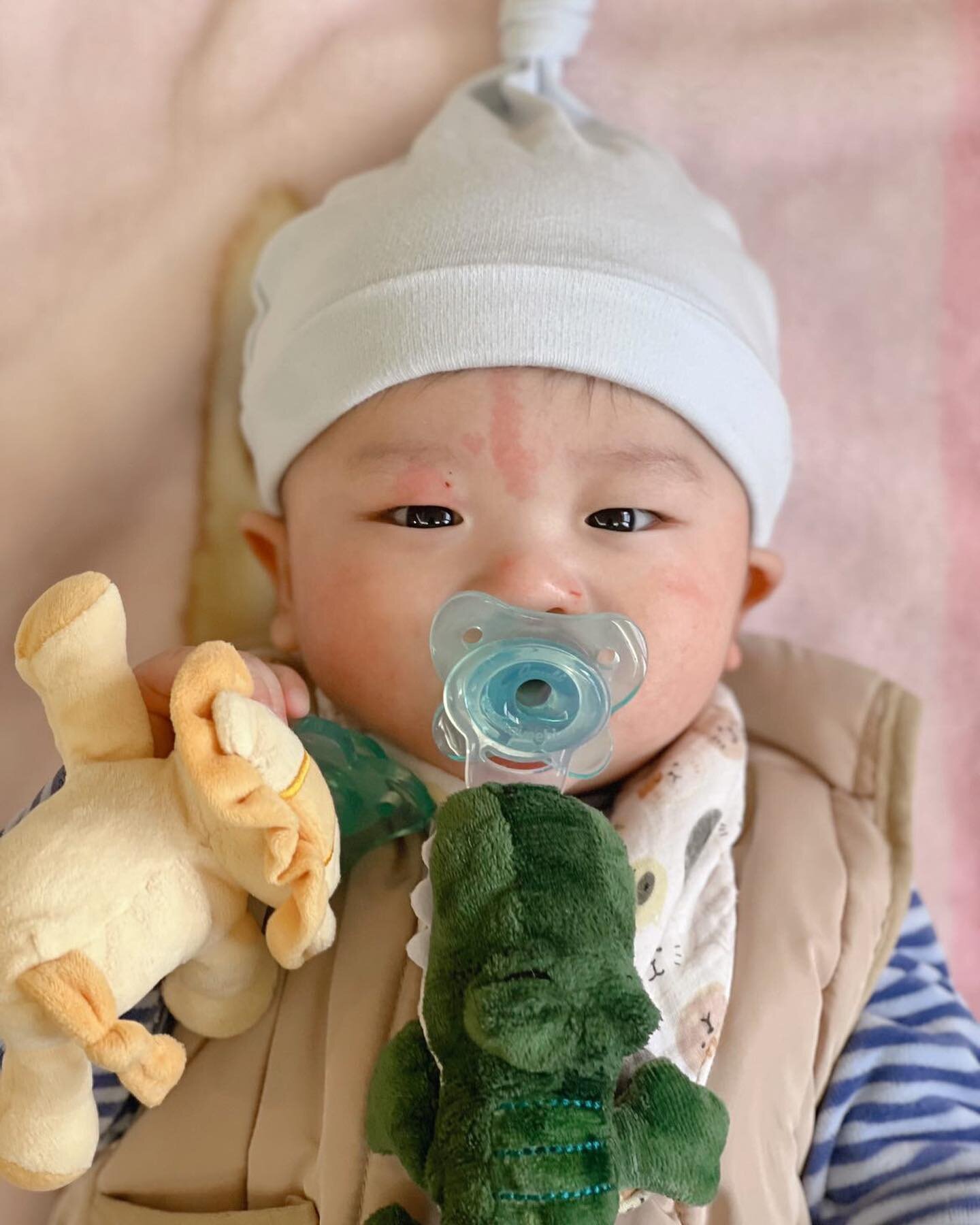 Perfectly capture the moment when the kid almost fallen asleep 😬
.
Thanks to @rainbowlikefire
.
#pacibuddy #paci #queebi #pacifier #baby #babystoreaustralia #babygiftsaustralia #babyshower
