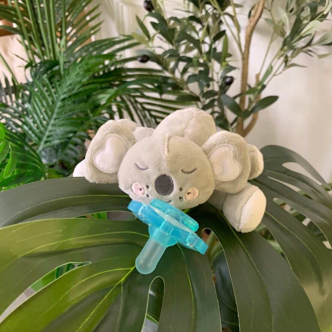 Koala is a symbol of relaxation, so its sighting is a reminder that you need to take some time for yourself.

And they smell like eucalyptus.

#queeby #queebybaby #babyphotography #babyphotoshoot #babyproducts #babypanda #pandababy #babytoys
