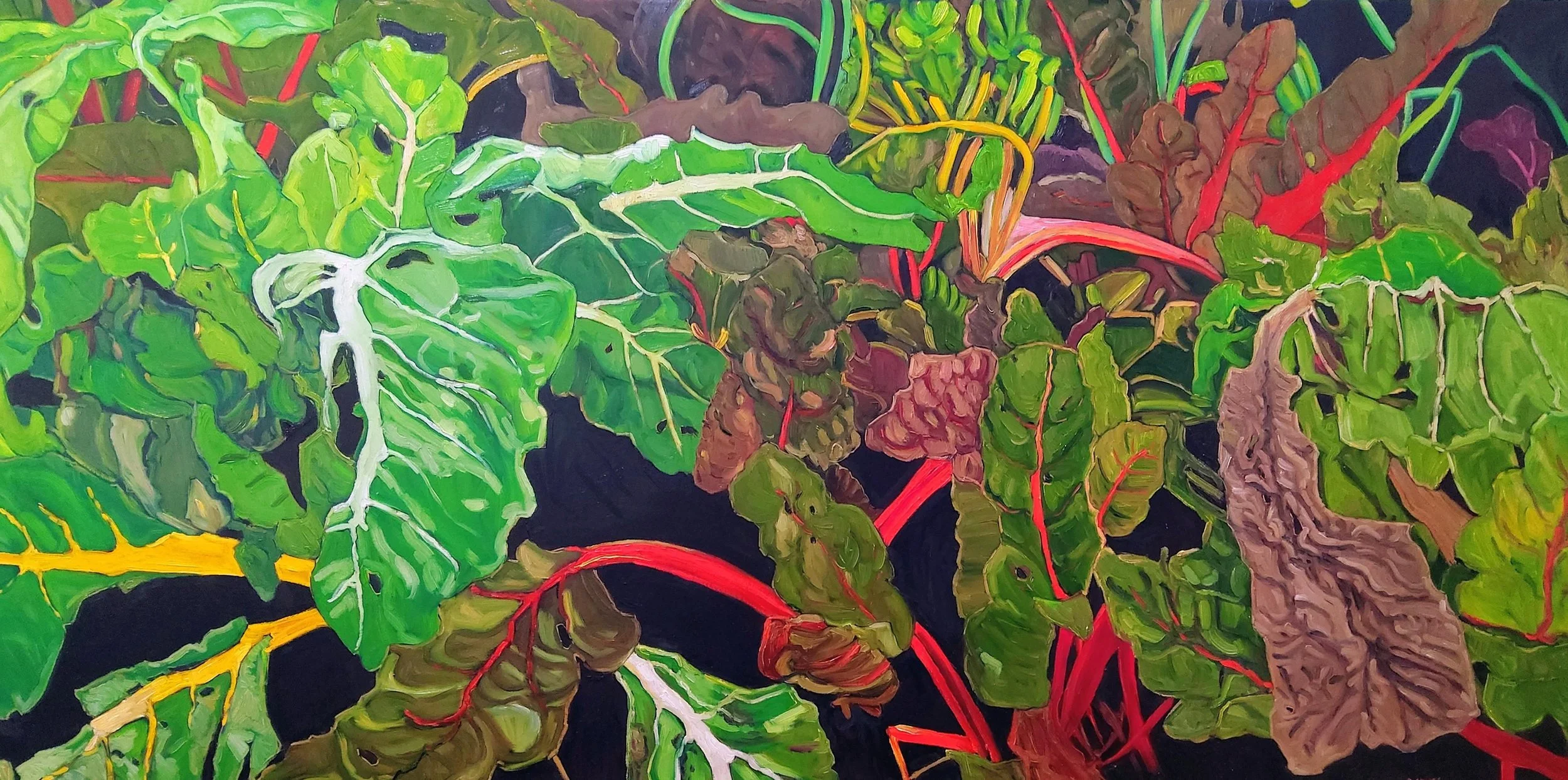 Swiss Chard XXIV-CAN2510-Calliope Chlidanope 30x60 OC 2400.jpg