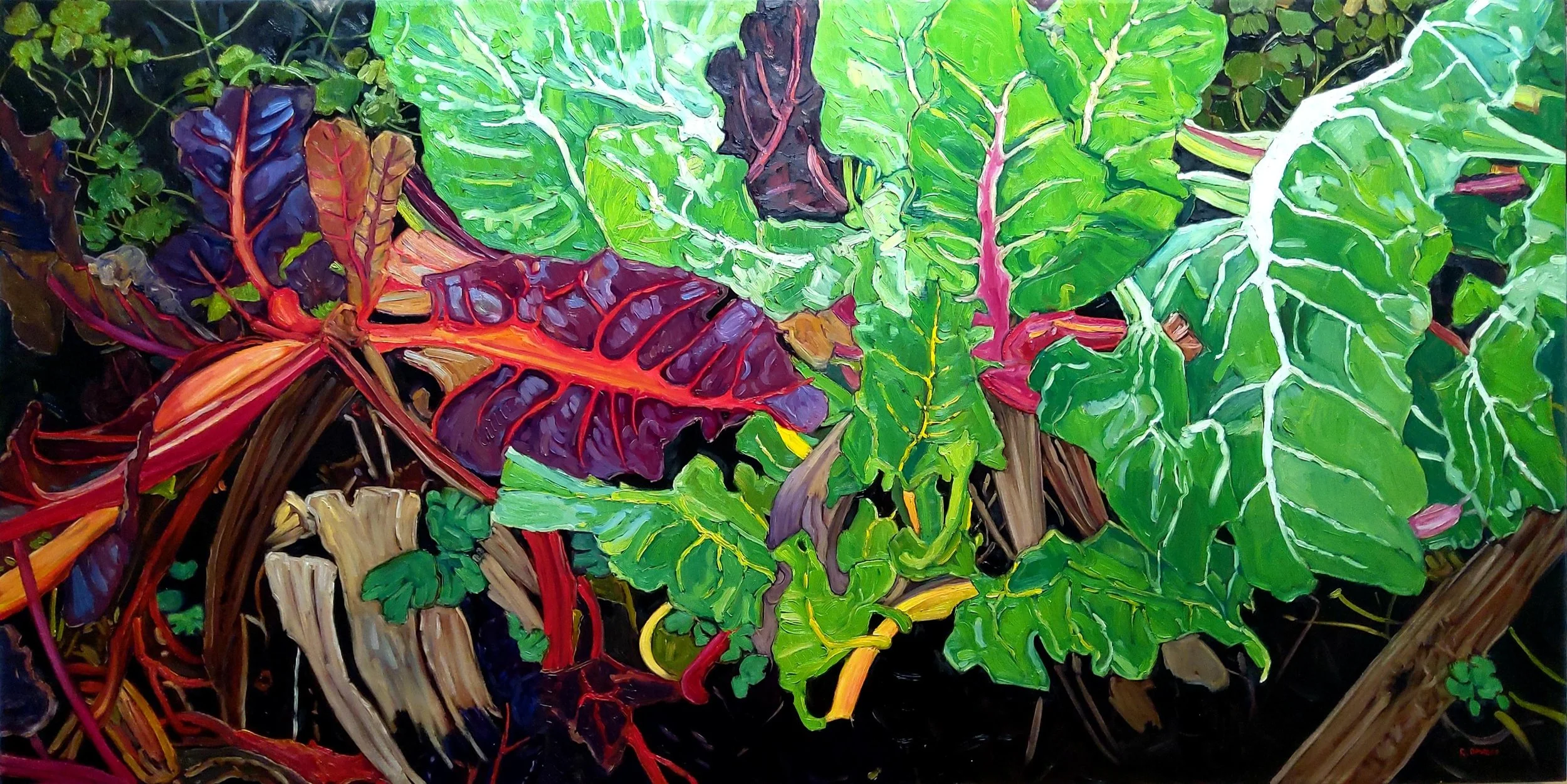Swiss Chard XXV-CAN2511-Apollo Pythian 30x60 OC 2400.jpg
