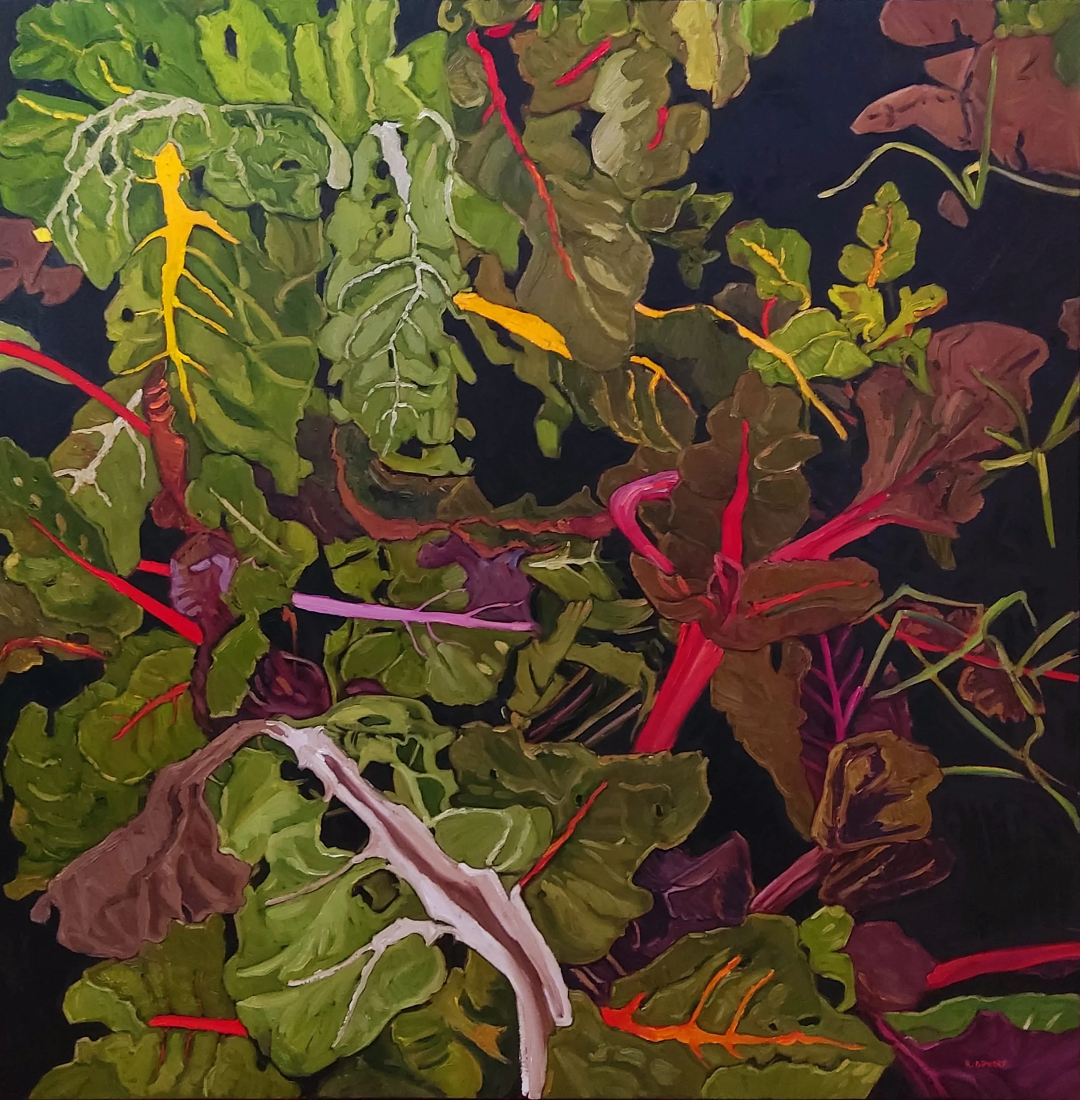 Swiss Chard XVII-CAN2503-Euterpe Actis 40x40 OC 1900.jpg