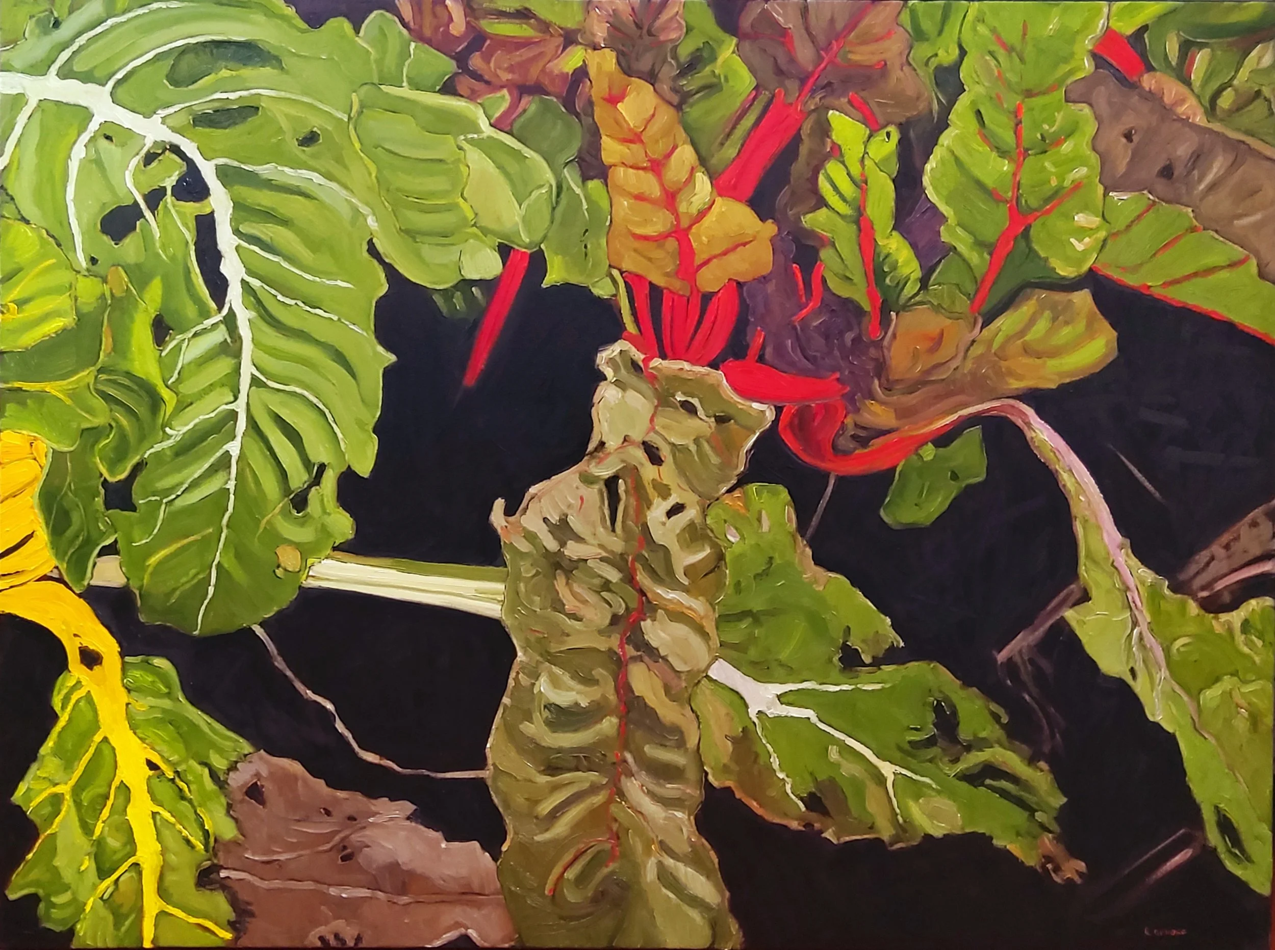 Swiss Chard XX-CAN2506-Terpsichore Anthedon 30x40 OC 1600.jpg